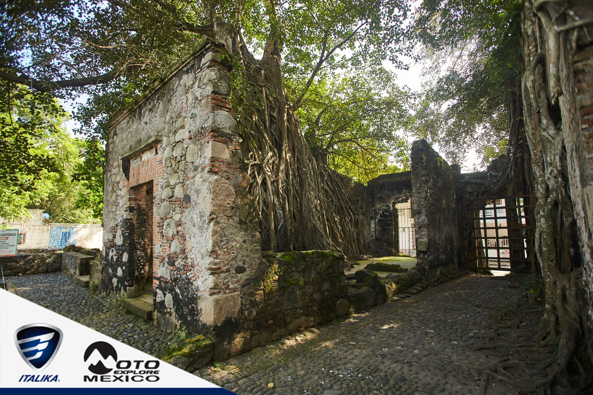 ITALIKA CHACHALACAS D1 265